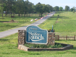 Welcome-to-Heifer-Ranch-2